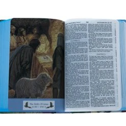 Audience: Boys KJV Bible Seaside Hardcover 7 Audience: Boys KJV Bible Seaside Hardcover -SHOPtheWORD store 100 0003 4