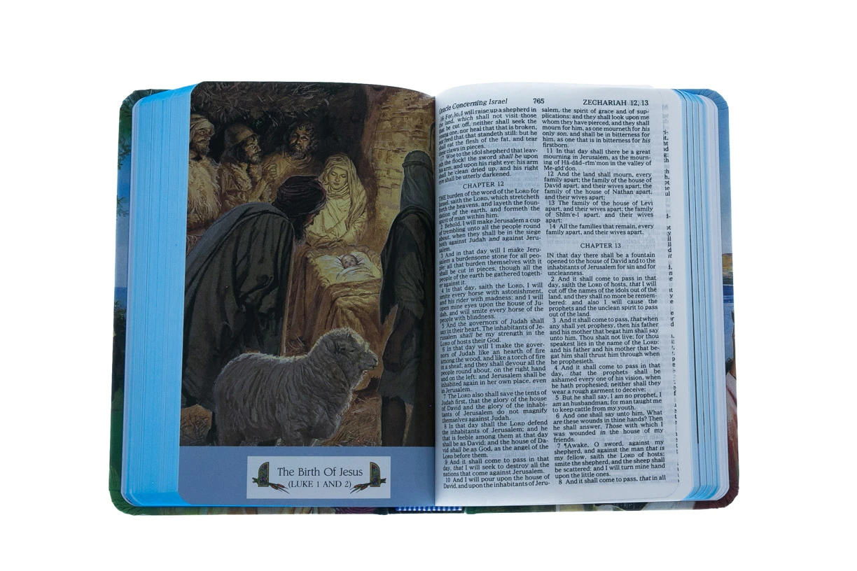 Audience: Boys KJV Bible Seaside Hardcover 5 Audience: Boys KJV Bible Seaside Hardcover - Image 3