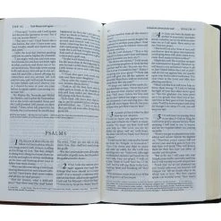 Tyndale House Publishing LIV: Living Bible – Paraphrased 8 Tyndale House Publishing LIV: Living Bible – Paraphrased -SHOPtheWORD store 100 0007 3