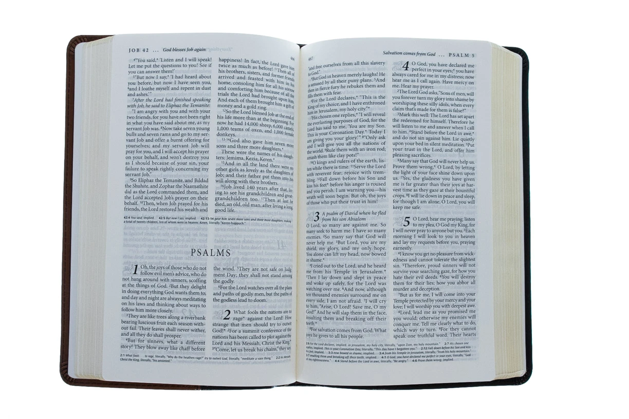 Tyndale House Publishing LIV: Living Bible – Paraphrased 5 Tyndale House Publishing LIV: Living Bible – Paraphrased - Image 3