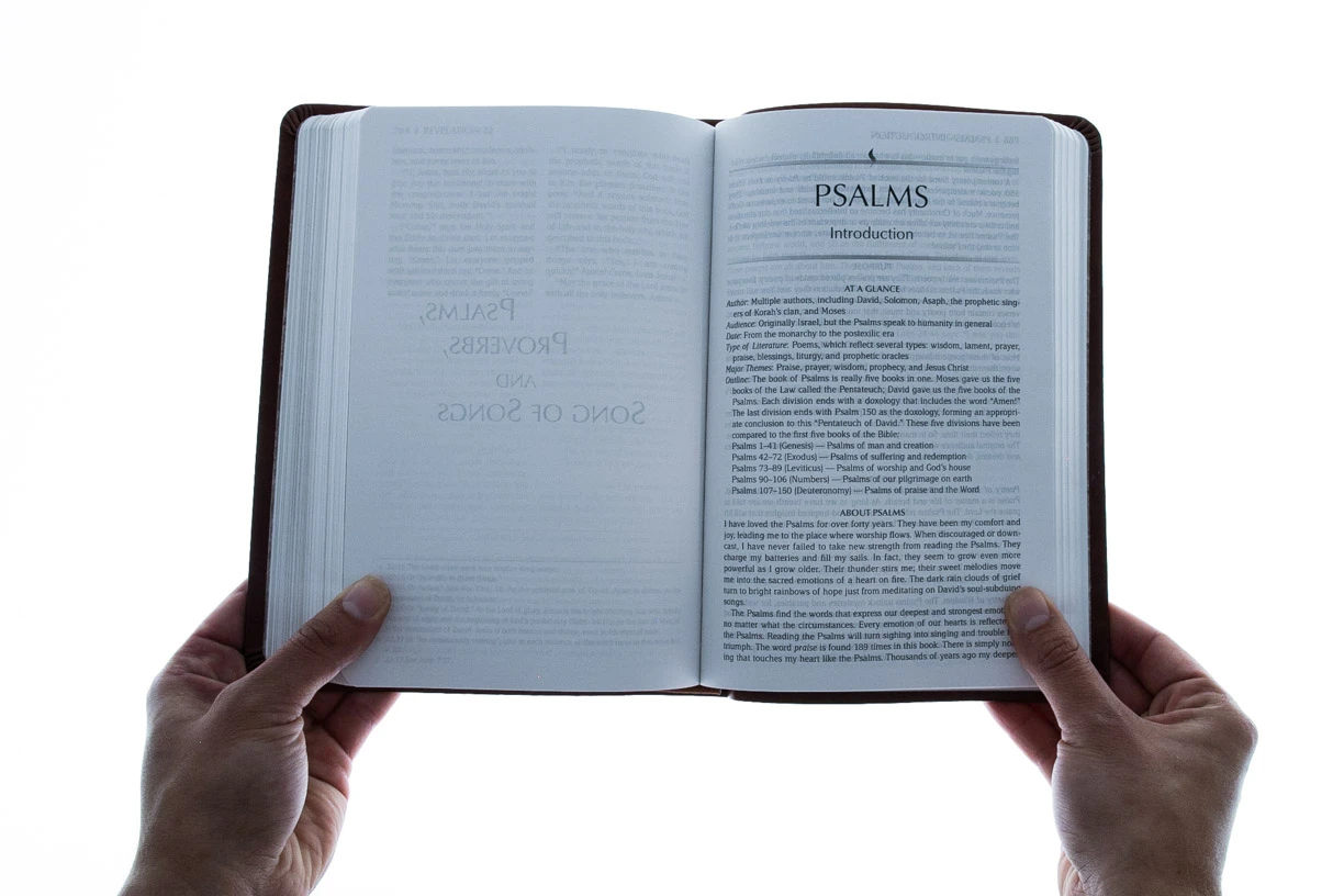 The Passion Translation New Testament Masterpiece Edition 7 The Passion Translation New Testament Masterpiece Edition - Image 5