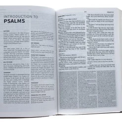 Holman Bible Publishers KJV Everyday Study Bible, British Tan Leathertouch -SHOPtheWORD store 200 0210 3