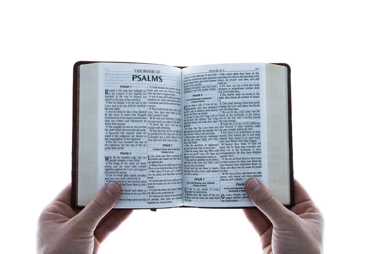 KJV Brown Faux Leather Large Print Compact 6 KJV Brown Faux Leather Large Print Compact - Image 4