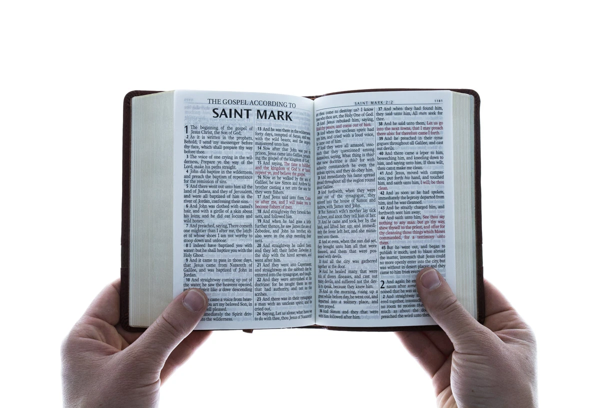 KJV Brown Faux Leather Large Print Compact 7 KJV Brown Faux Leather Large Print Compact - Image 5