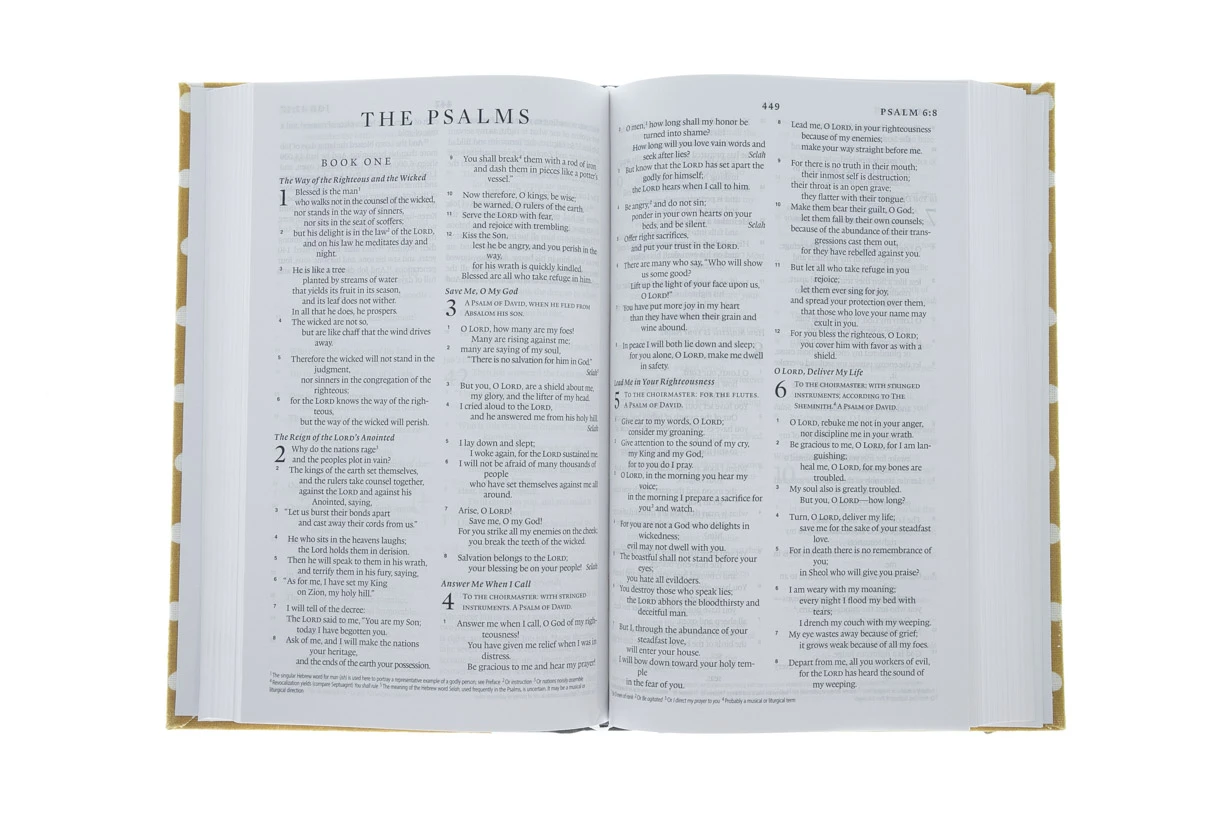 Audience: Men, Pastors, Teen, Women ESV Thinline Bible -Cloth Over Board, Polka Dots -Out Of Print 5 Audience: Men, Pastors, Teen, Women ESV Thinline Bible -Cloth Over Board, Polka Dots -Out Of Print - Image 3