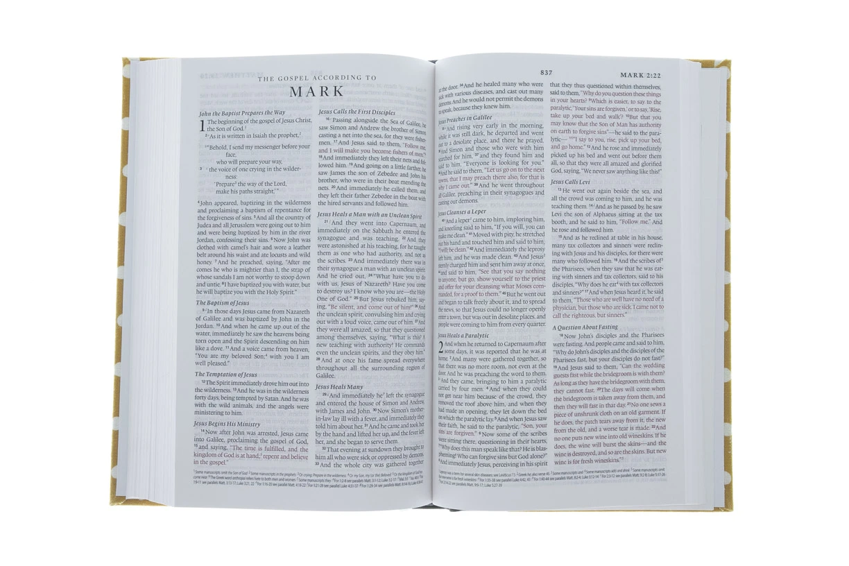 Audience: Men, Pastors, Teen, Women ESV Thinline Bible -Cloth Over Board, Polka Dots -Out Of Print 6 Audience: Men, Pastors, Teen, Women ESV Thinline Bible -Cloth Over Board, Polka Dots -Out Of Print - Image 4