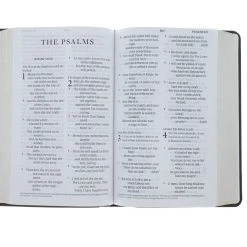 Crossway ESV Large Print Personal Size Bible Trutone, Brown, Engraved Mantel Design -SHOPtheWORD store 200 0452 3