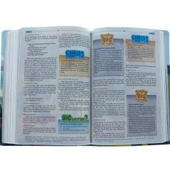 Holman Bible Publishers HCSB Big Picture Interactive Bible: Jesus Edition LeatherTouch -SHOPtheWORD store 200 0455 3