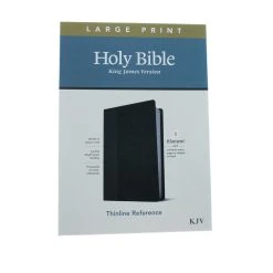 Tyndale House Publishing KJV Large Print Thinline Reference Bible, Filament Enabled Edition-Red