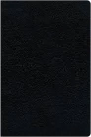 Zondervan KJV, Amplified, Parallel Bible, Large Print, Bonded Leather, Black