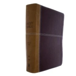 Zondervan KJV, Amplified, Parallel Bible, Large Print, Leathersoft, Tan/Burgundy