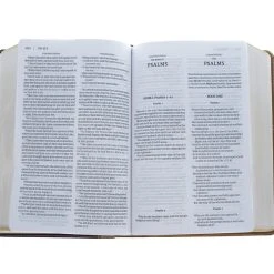 Zondervan KJV, Amplified, Parallel Bible, Large Print, Leathersoft, Tan/Burgundy 11 Zondervan KJV, Amplified, Parallel Bible, Large Print, Leathersoft, Tan/Burgundy -SHOPtheWORD store 202 0047 4