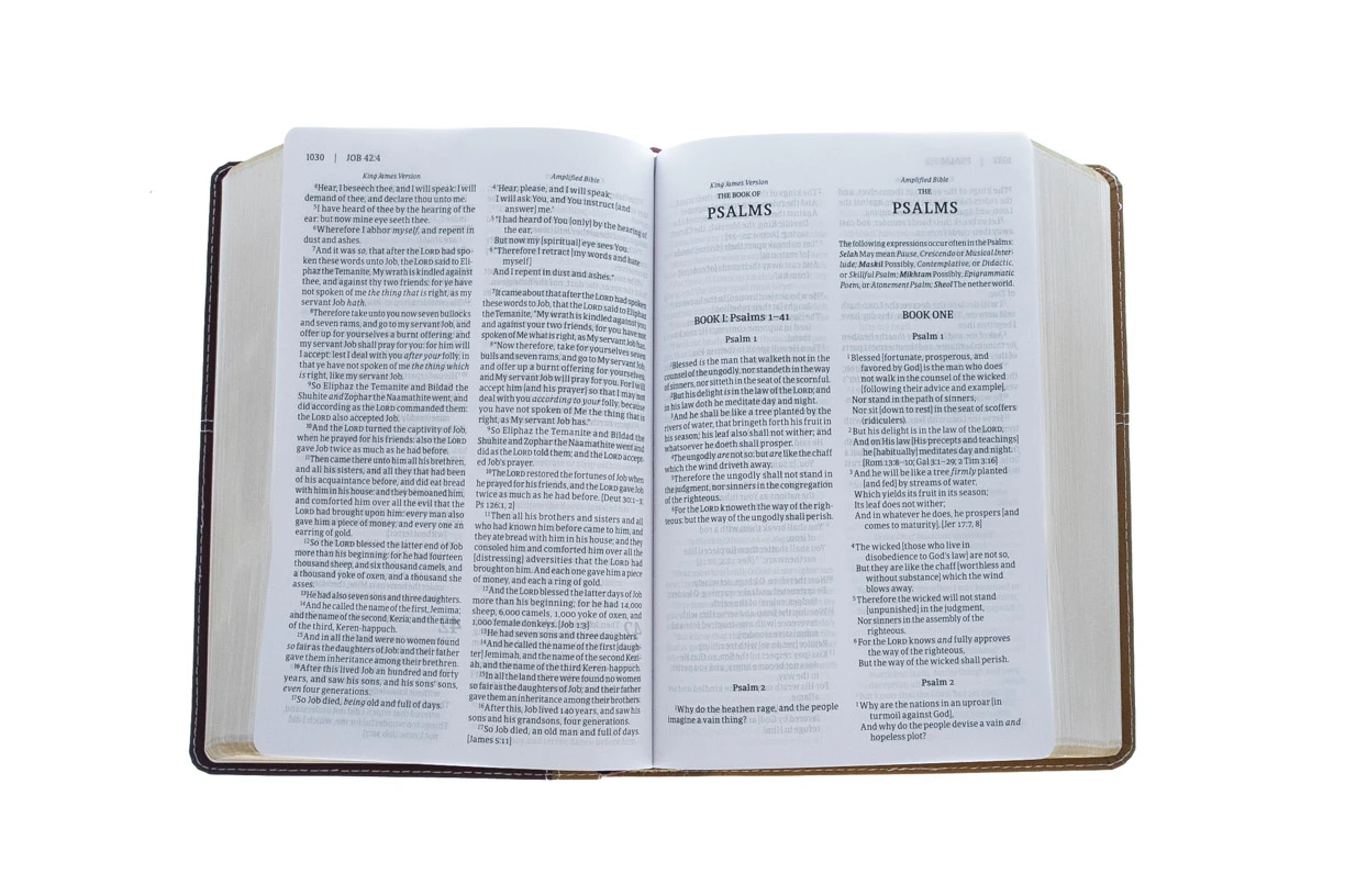 Zondervan KJV, Amplified, Parallel Bible, Large Print, Leathersoft, Tan/Burgundy 6 Zondervan KJV, Amplified, Parallel Bible, Large Print, Leathersoft, Tan/Burgundy - Image 4