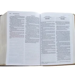 Zondervan KJV, Amplified, Parallel Bible, Large Print, Leathersoft, Tan/Burgundy 12 Zondervan KJV, Amplified, Parallel Bible, Large Print, Leathersoft, Tan/Burgundy -SHOPtheWORD store 202 0047 5