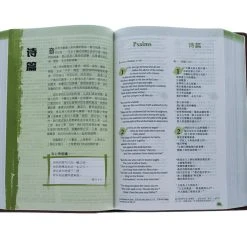 NLT / CNLT English / Chinese Simplified Chinese -SHOPtheWORD store 202 0048 3