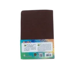 NLT / CNLT English / Chinese Simplified Chinese -SHOPtheWORD store 202 0048 5