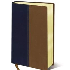 SHOPtheWORD store 14 Zondervan NIV & KJV Side-By-Side Bible/Large Print-Navy/Tan Duo-Tone