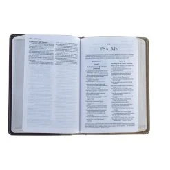Zondervan Amplified Holy Bible, Compact, Imitation Leather, Tan/Burgundy -SHOPtheWORD store 203 0010 3