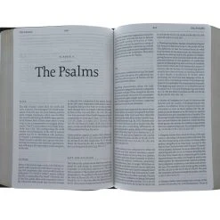 Audience: Pastors ESV Reformation Study Bible-Brown Premium Leather 10 Audience: Pastors ESV Reformation Study Bible-Brown Premium Leather -SHOPtheWORD store 204 0011 3