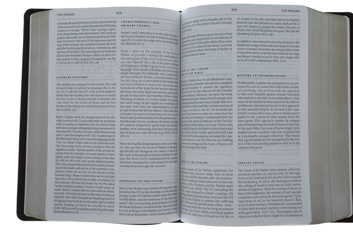 Audience: Pastors ESV Reformation Study Bible-Brown Premium Leather 6 Audience: Pastors ESV Reformation Study Bible-Brown Premium Leather - Image 4