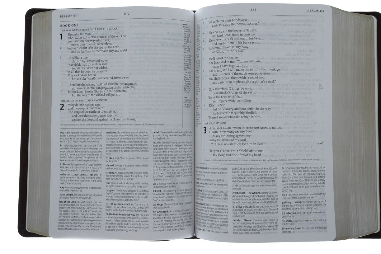 Audience: Pastors ESV Reformation Study Bible-Brown Premium Leather 7 Audience: Pastors ESV Reformation Study Bible-Brown Premium Leather - Image 5