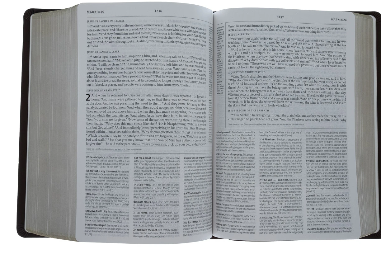 Audience: Pastors ESV Reformation Study Bible-Brown Premium Leather 8 Audience: Pastors ESV Reformation Study Bible-Brown Premium Leather - Image 6