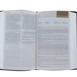 ESV Student Study Bible -Trutone, Chestnut Imitation Leather -SHOPtheWORD store 204 0044 3