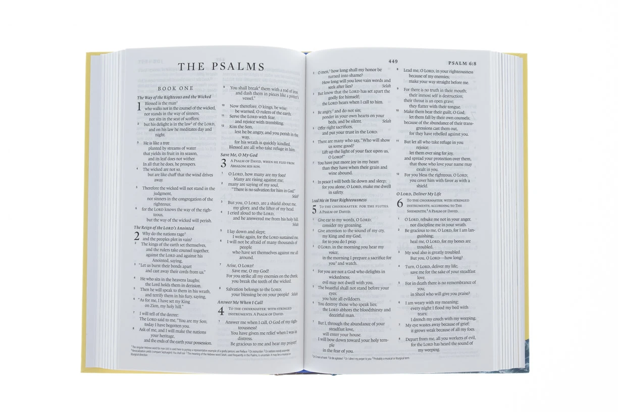 Audience: Children ESV Holy Bible For Kids-Hardcover 5 Audience: Children ESV Holy Bible For Kids-Hardcover - Image 3