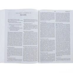 ESV Large Print Bible Blue/Light Blue Hardcover -SHOPtheWORD store 204 0164 3 1