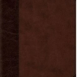 Audience: Men, Teen, Women ESV Personal Reference Bible Trutone, Brown/Walnut, Portfolio Design)