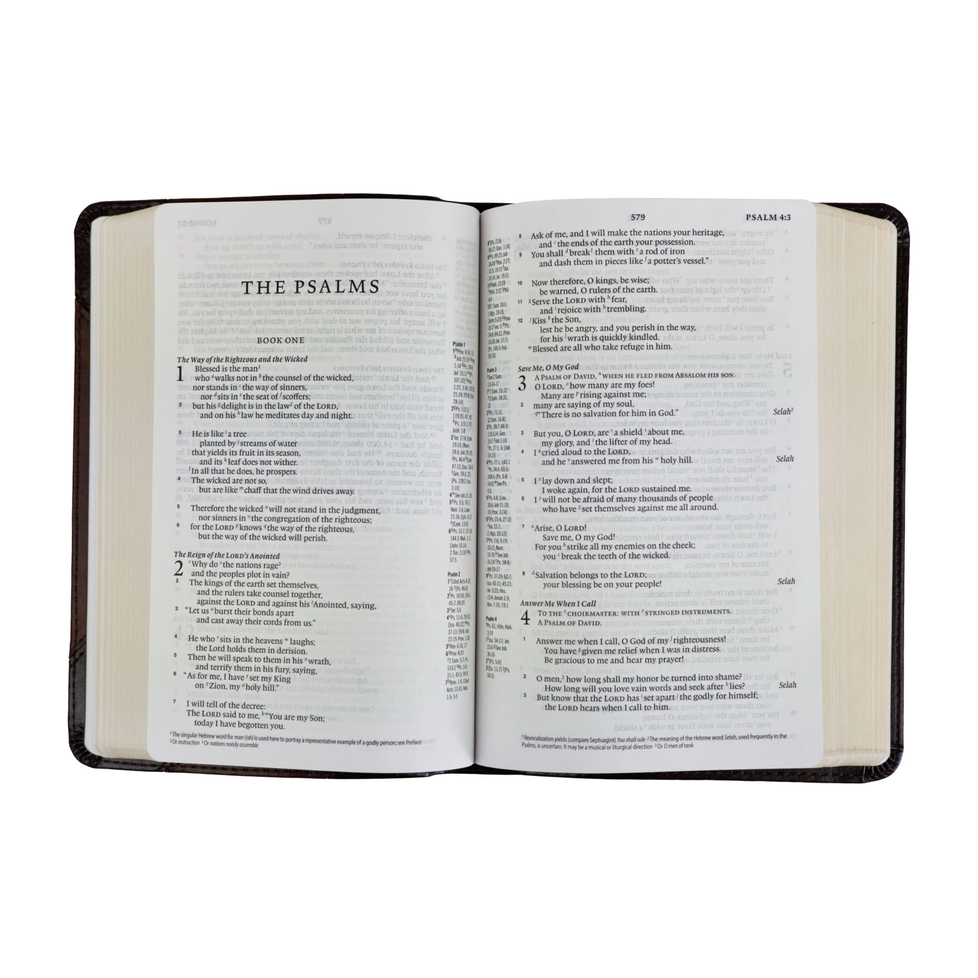 Audience: Men, Teen, Women ESV Personal Reference Bible Trutone, Brown/Walnut, Portfolio Design) 5 Audience: Men, Teen, Women ESV Personal Reference Bible Trutone, Brown/Walnut, Portfolio Design) - Image 3