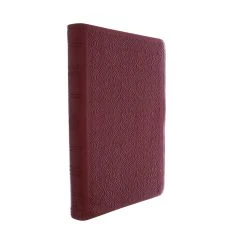 Crossway ESV Premium Gift Bible (TruTone, Ruby, Vine Design)