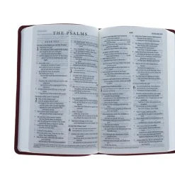 Crossway ESV Premium Gift Bible (TruTone, Ruby, Vine Design) -SHOPtheWORD store 204 0193 3