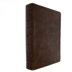 Crossway ESV Giant Print Bible (Trutone, Deep Brown)