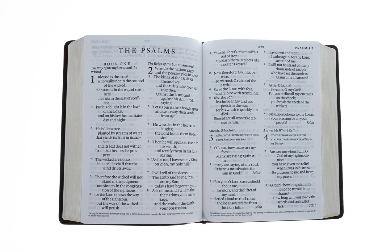 Crossway ESV Giant Print Bible (Trutone, Deep Brown) 5 Crossway ESV Giant Print Bible (Trutone, Deep Brown) - Image 3