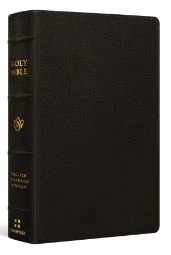 Crossway ESV Large Print Personal Size Bible