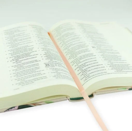 Audience: Women ESV Journaling Bible – Paris Theme -SHOPtheWORD store 204 0210 4