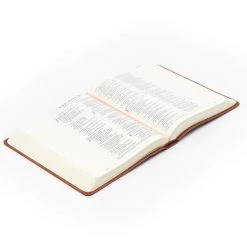 Audience: Women ESV Journaling Bible – Sierra Theme -SHOPtheWORD store 204 0211 4