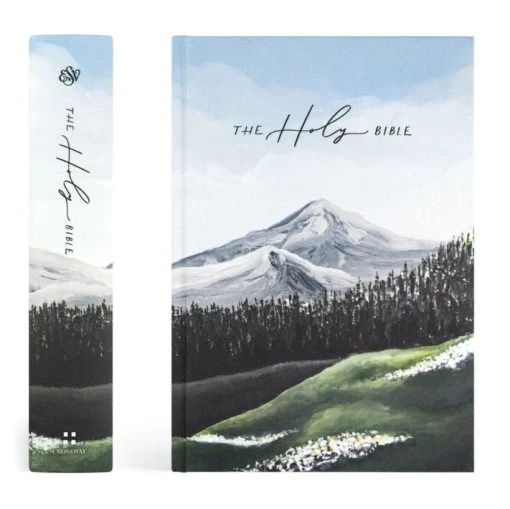 ESV Large Print Journaling Bible – Salzburg Theme -SHOPtheWORD store 204 0213 2