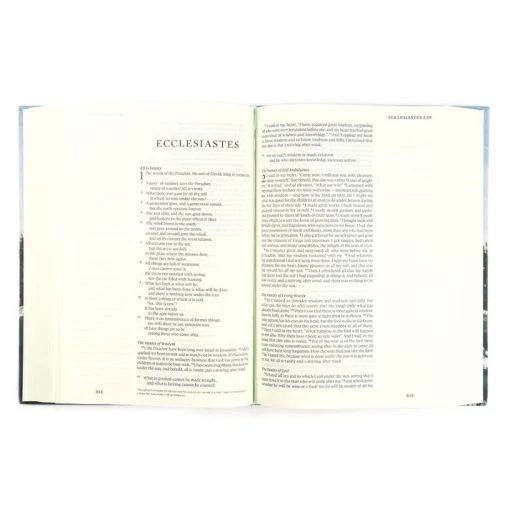 ESV Large Print Journaling Bible – Salzburg Theme -SHOPtheWORD store 204 0213 4