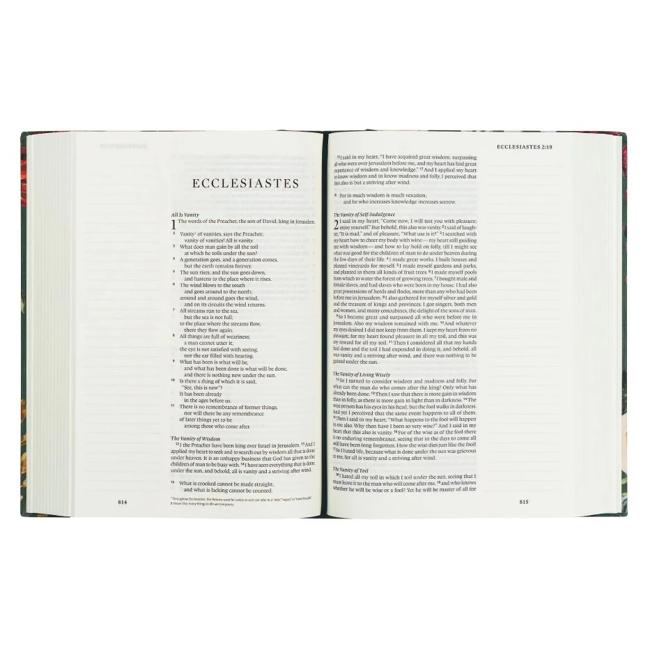 Audience: Women ESV Large Print Journaling Bible – Hollis Theme 7 Audience: Women ESV Large Print Journaling Bible – Hollis Theme - Image 5