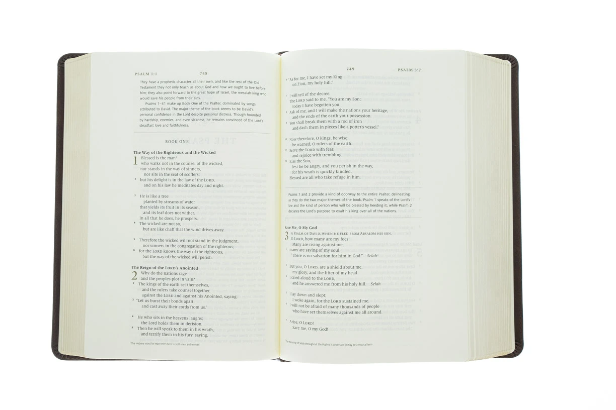 Crossway ESV Story Of Redemption Bible: Brown, TruTone 6 Crossway ESV Story Of Redemption Bible: Brown, TruTone - Image 4