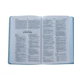 Thomas Nelson ICB Precious Moments Holy Bible – Blue Edition Imitation Leather -SHOPtheWORD store 205 0010 3