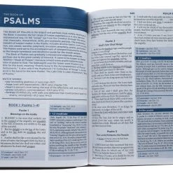 Thomas Nelson KJV, Word Study Bible, Imitation Leather, Brown, Red Letter Edition -SHOPtheWORD store 206 0019 3