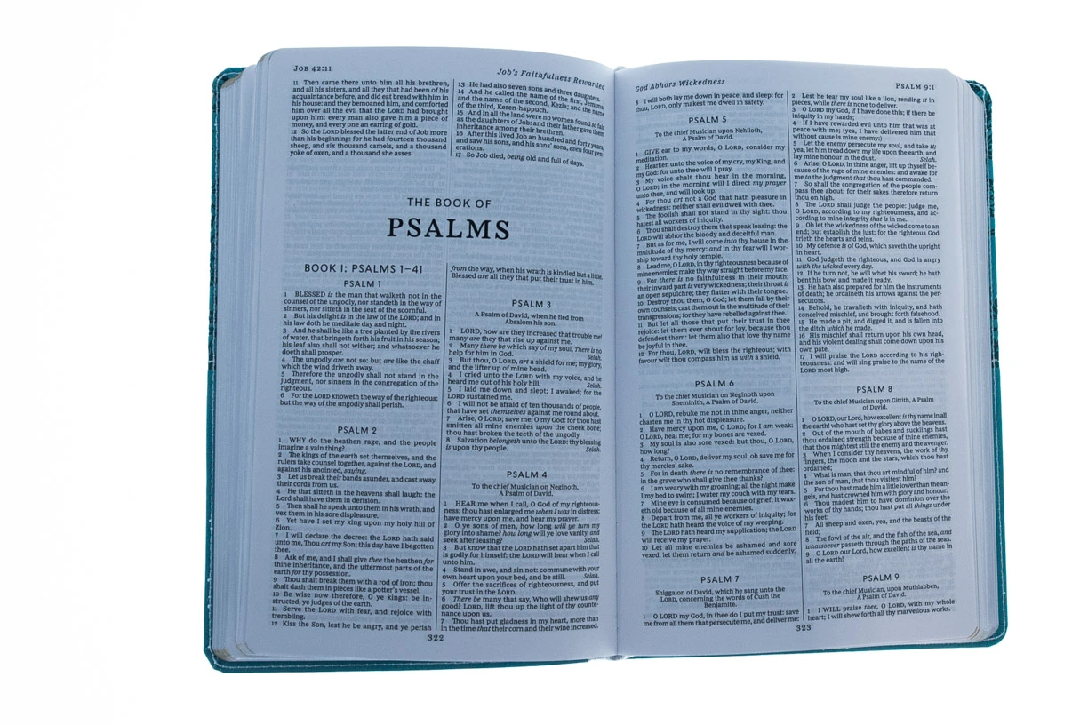 Thomas Nelson KJV, Deluxe Gift Bible, Blue Imitation Leather 5 Thomas Nelson KJV, Deluxe Gift Bible, Blue Imitation Leather - Image 3