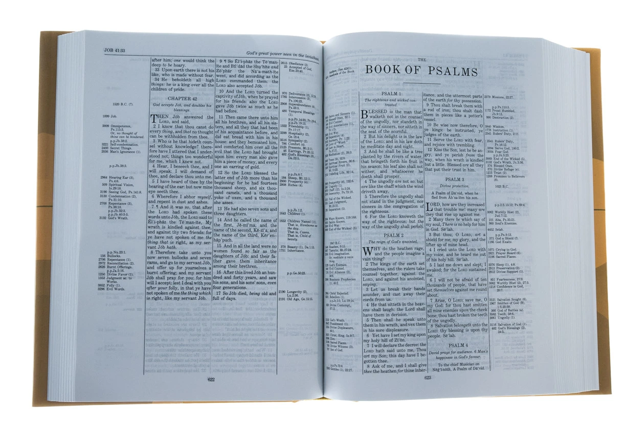 Zondervan KJV, Thompson Chain-Reference Bible, Hardcover, Red Letter 5 Zondervan KJV, Thompson Chain-Reference Bible, Hardcover, Red Letter - Image 3