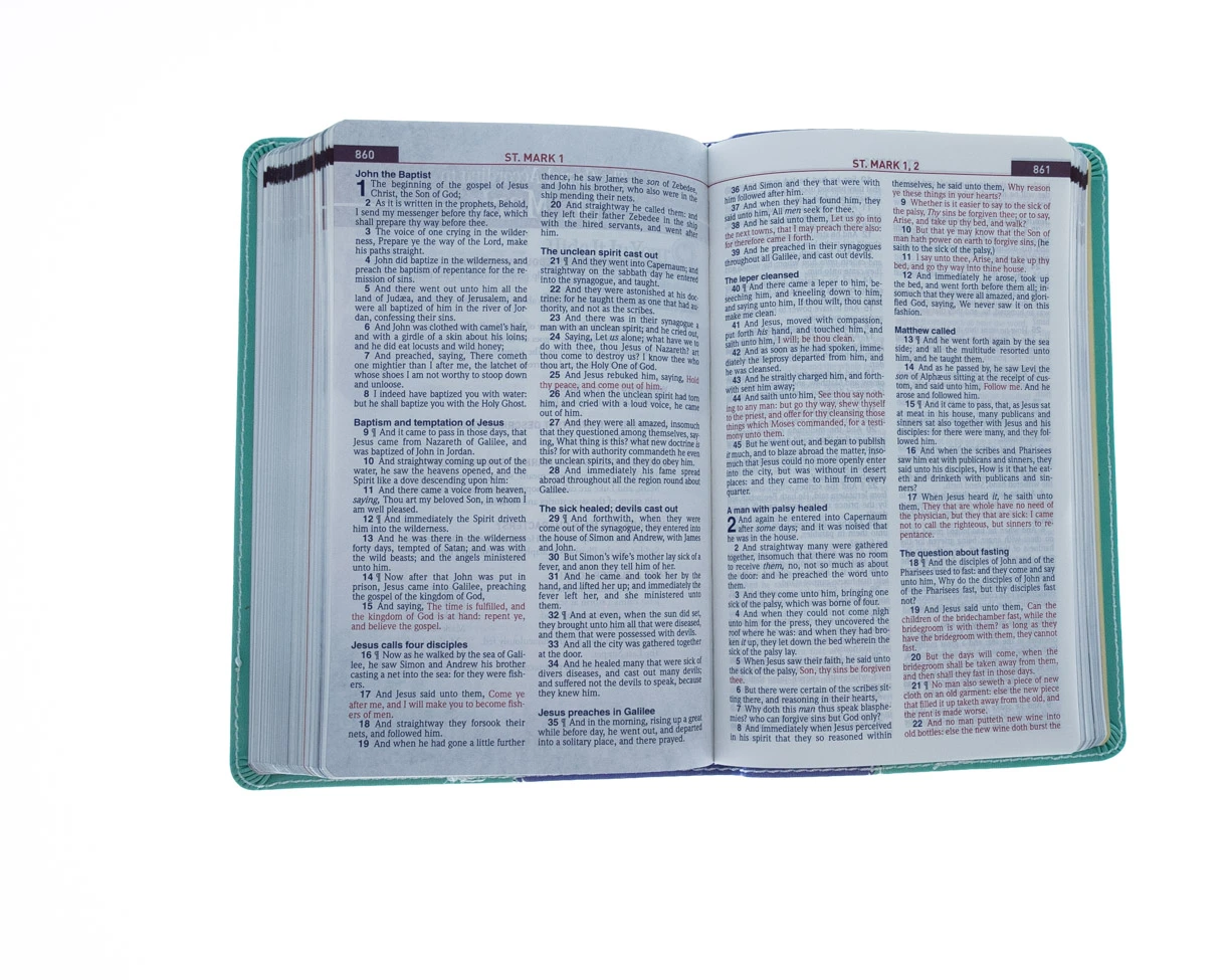 Audience: Children KJV Kids Study Bible Flex Purple Green 8 Audience: Children KJV Kids Study Bible Flex Purple Green - Image 6