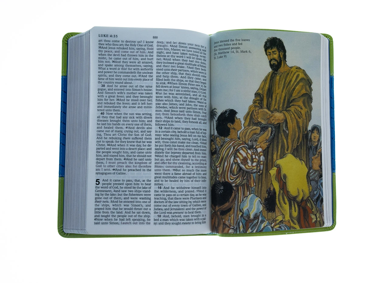 Audience: Children KJV Kids Bible Flexisoft Blue & Green 7 Audience: Children KJV Kids Bible Flexisoft Blue & Green - Image 5