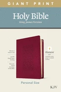 Tyndale House Publishing KJV Personal Size Giant Print Bible, Filament Enabled Edition