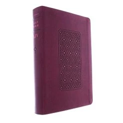 Tyndale House Publishing KJV Personal Size Giant Print Bible, Filament Enabled Edition 10 Tyndale House Publishing KJV Personal Size Giant Print Bible, Filament Enabled Edition -SHOPtheWORD store 206 0198 2 1